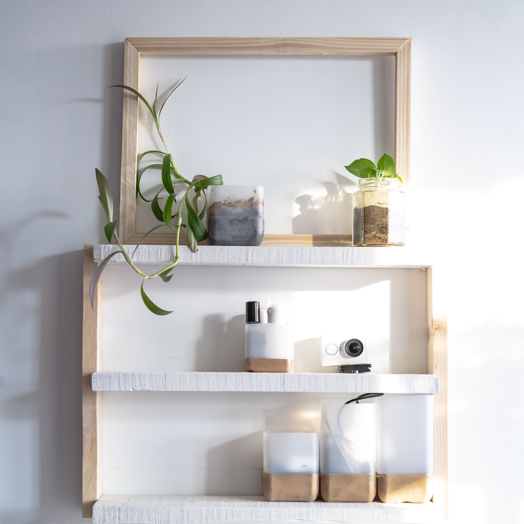 Sustainability in Design: How FurniVault Crafts Eco-Friendly Wood Furniture